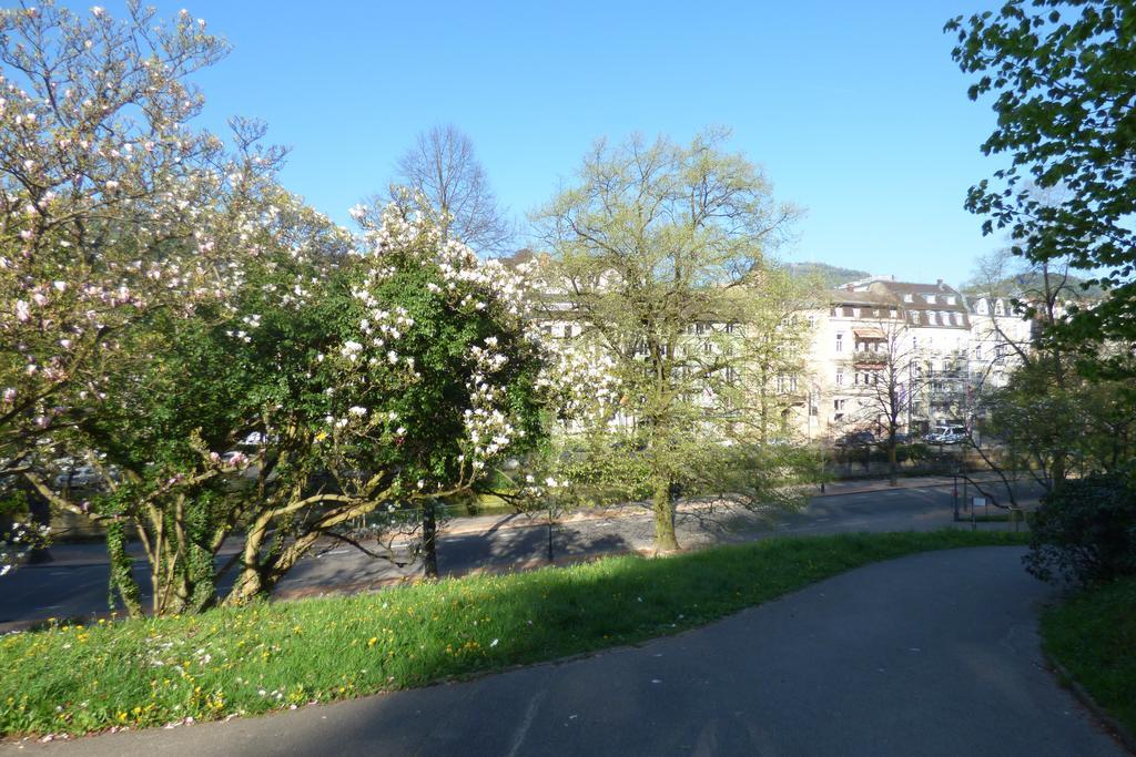 Colibri Apartment Baden-Bade Exterior foto